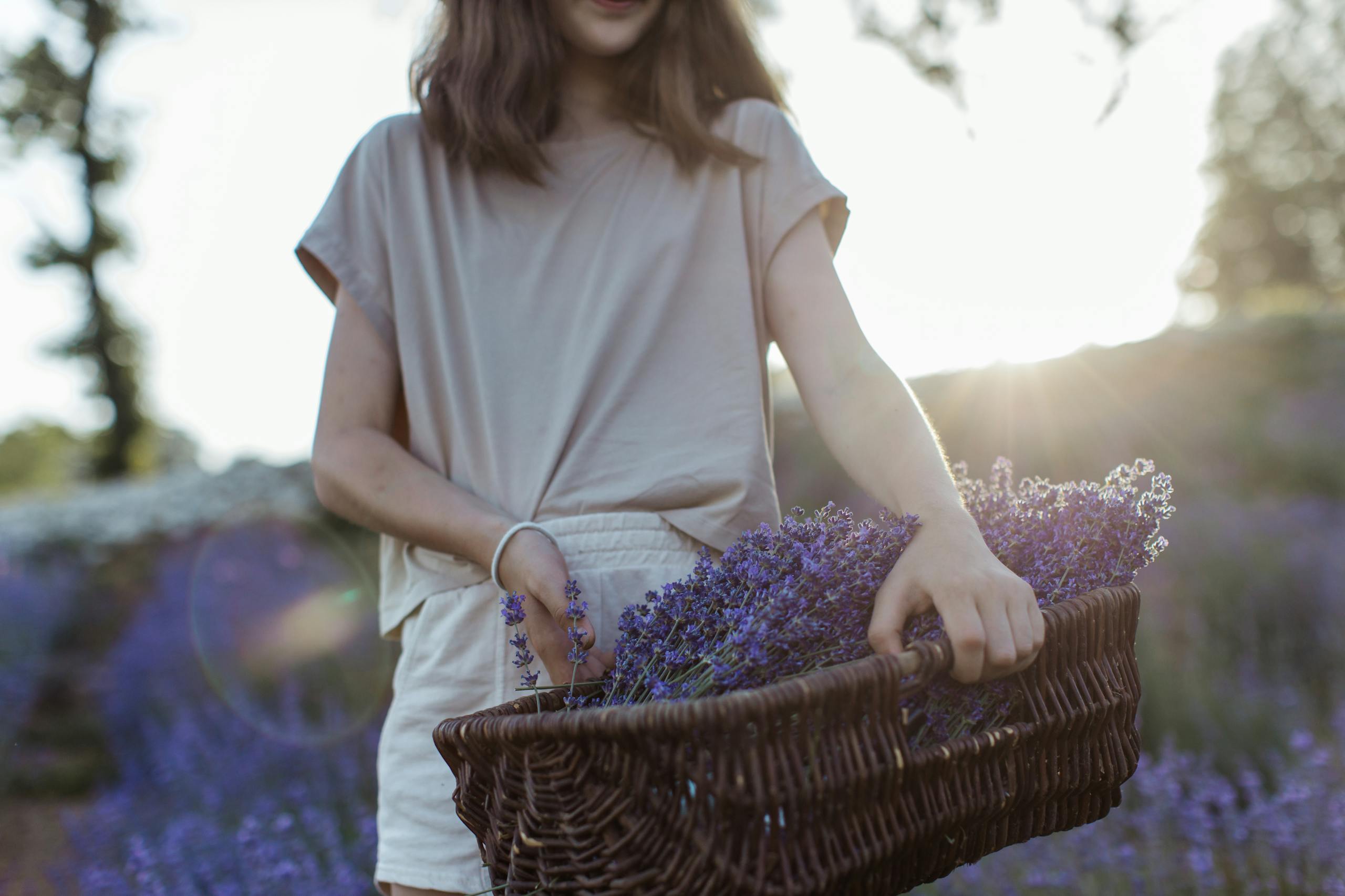 A woman holding a basket full of lavender flowers in a serene field during sunrise.